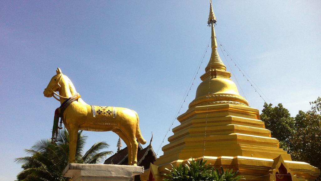 Green Tiger House Chiang Mai Exterior foto